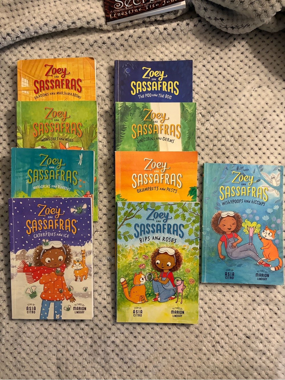 Zoey and Sassafras Children's Book Set - Colorful Covers